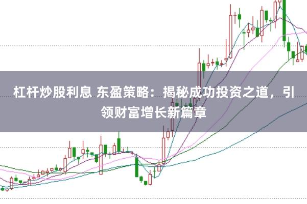 杠杆炒股利息 东盈策略:揭秘成功投资之道,引领财富增长新篇章