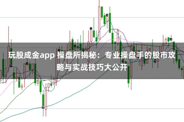 玩股成金app 操盘所揭秘：专业操盘手的股市攻略与实战技巧大公开