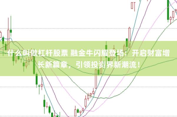 什么叫做杠杆股票 融金牛闪耀登场:开启财富增长新篇章,引领投资界新潮流!