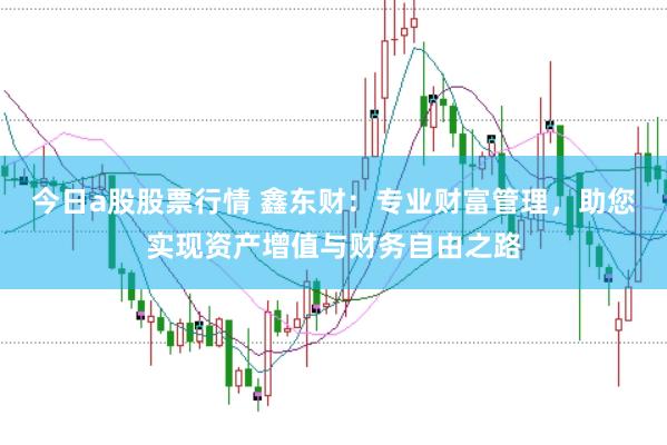 今日a股股票行情 鑫东财：专业财富管理，助您实现资产增值与财务自由之路
