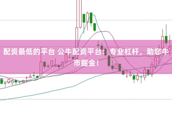 配资最低的平台 公牛配资平台：专业杠杆，助您牛市掘金！