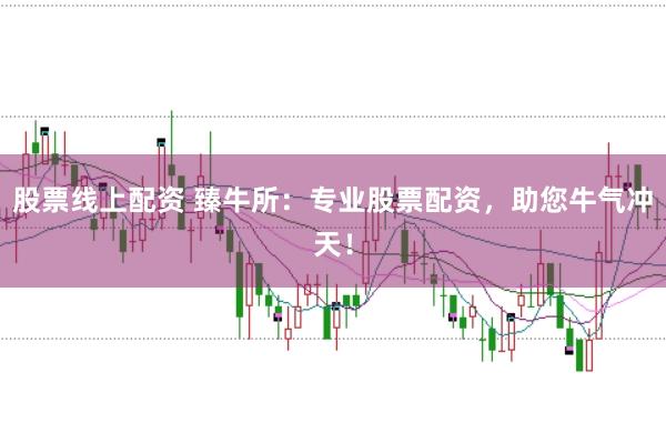 股票线上配资 臻牛所：专业股票配资，助您牛气冲天！